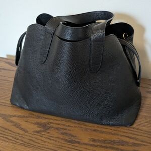 Cuyana Zippered Satchel